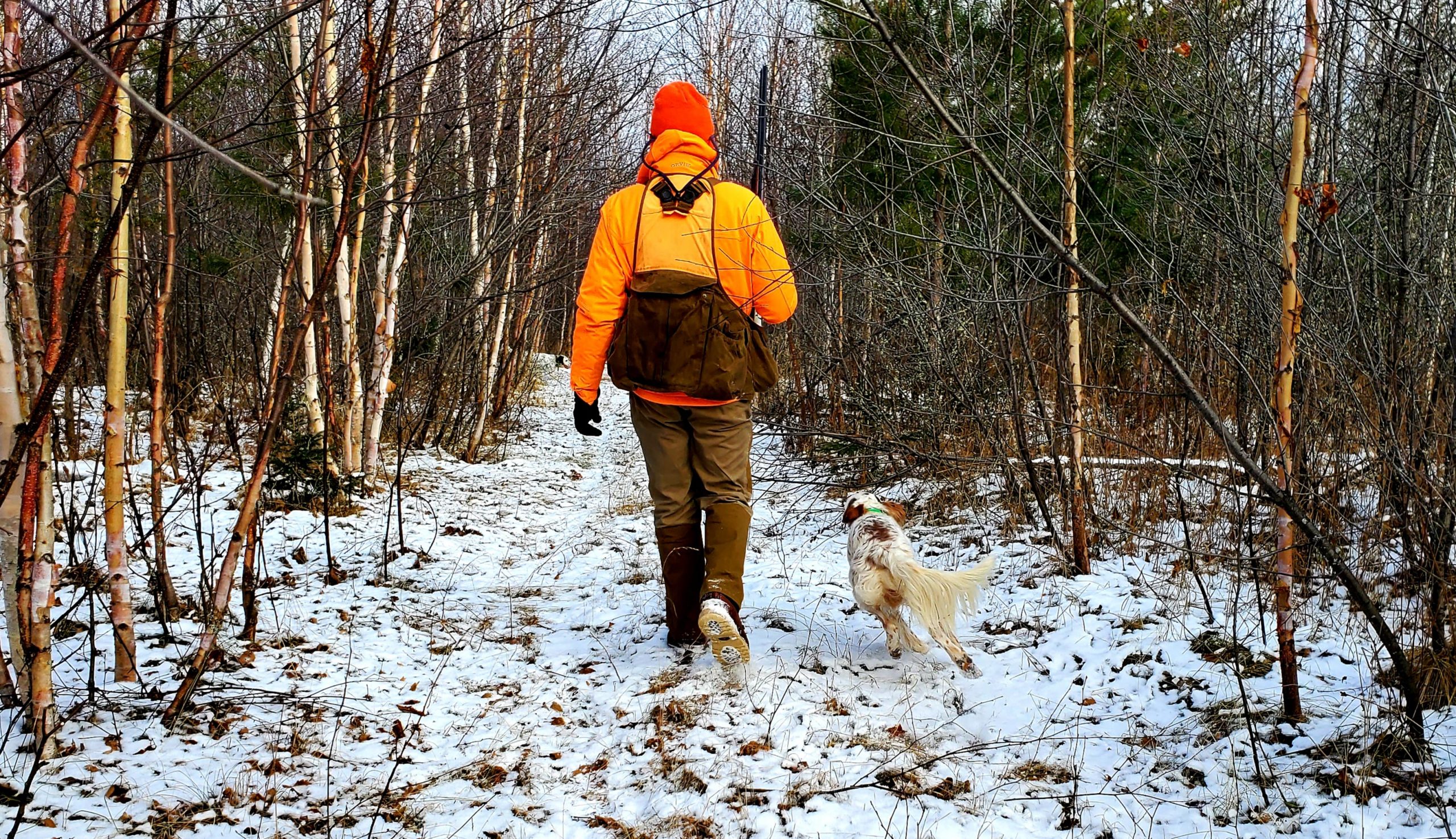 hunter-walking-with-english-setter-while-grouse-hunting-in-snow-covered-woods