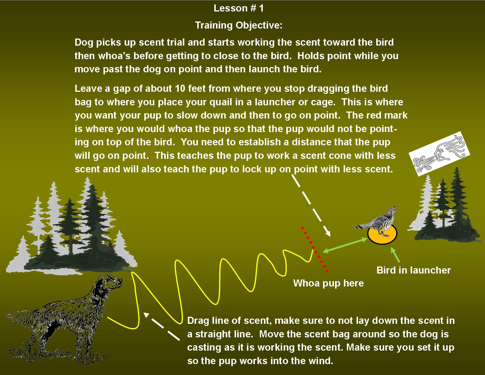 training-your-grouse-dog-lesson-one